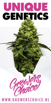 GC20042_GC_Banner_Growroom420_Static180x360px