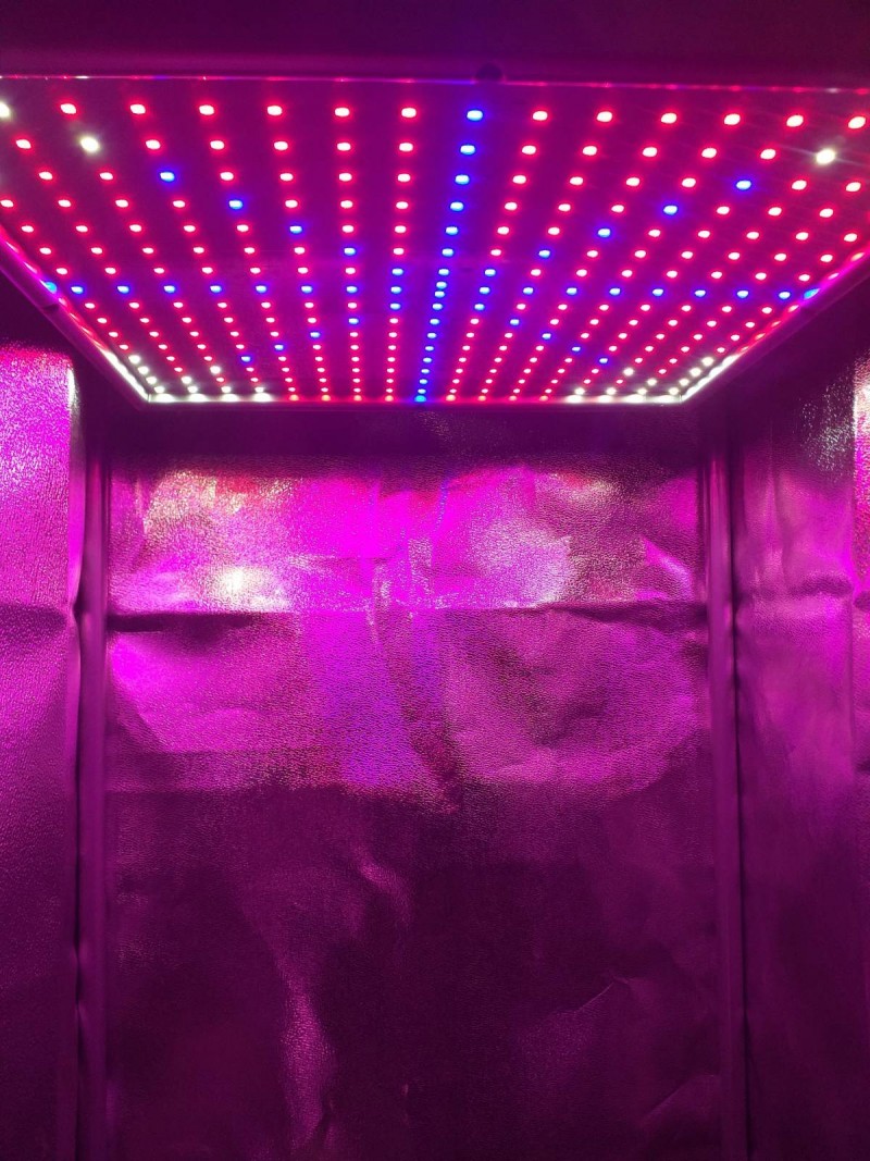 20200424_204028