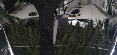 IMG-20200427-WA0057
