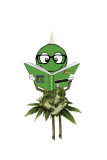 strain 2