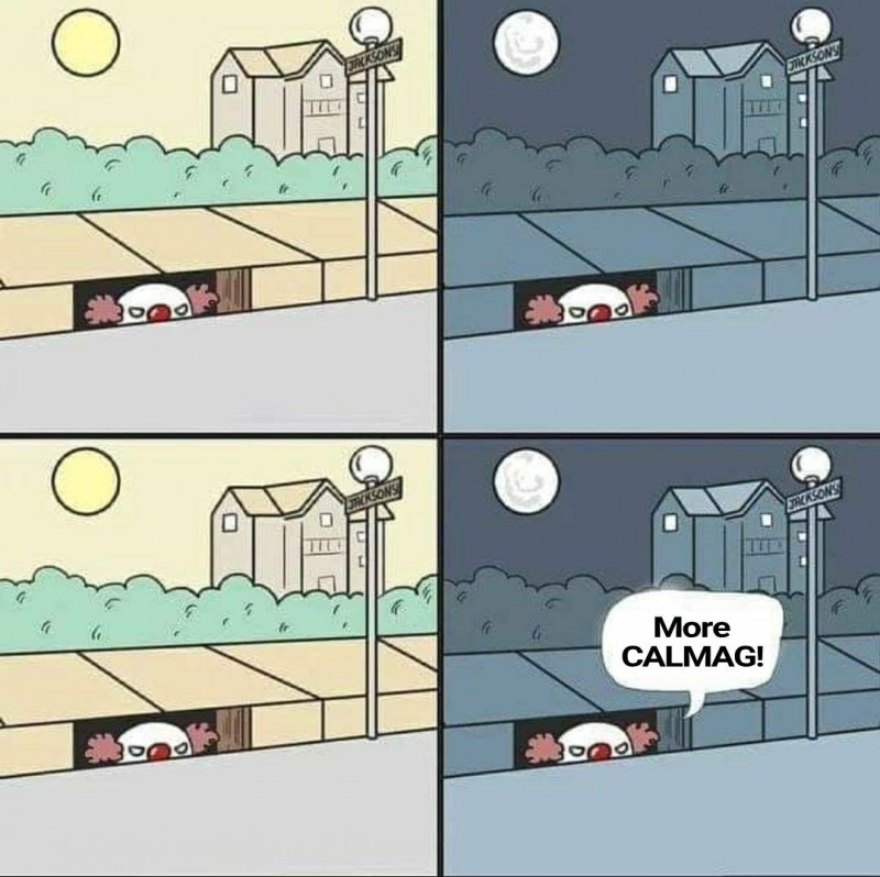 ITcalmag