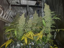 20201005_104816