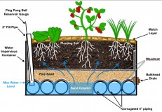 wicking bed