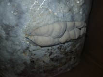 20201027_091404