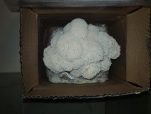 20201101_124936