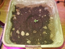 20201109_104354