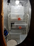 20201206_124055