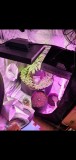 Screenshot_20201224-174754_Gallery