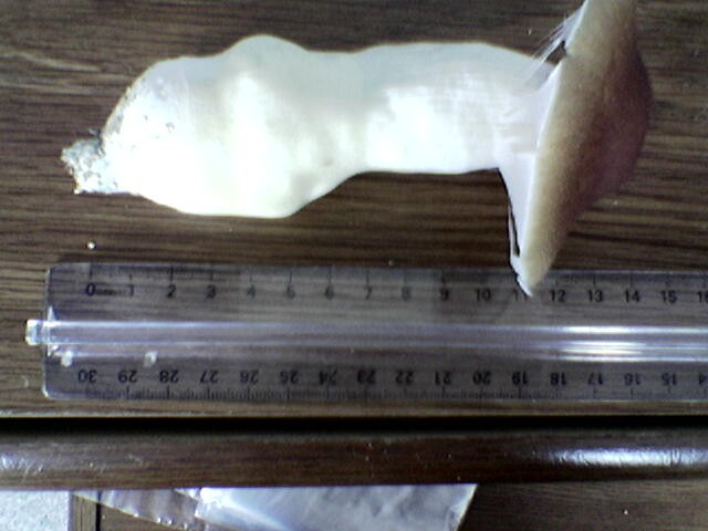 Shroom3
