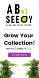 360 X 180 BANNER GR420 A B SEEDY