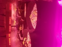 20210123_222245