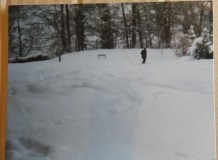 snow