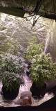 4C6D0865-DB0D-4C8B-9712-CBC1C33037E7
