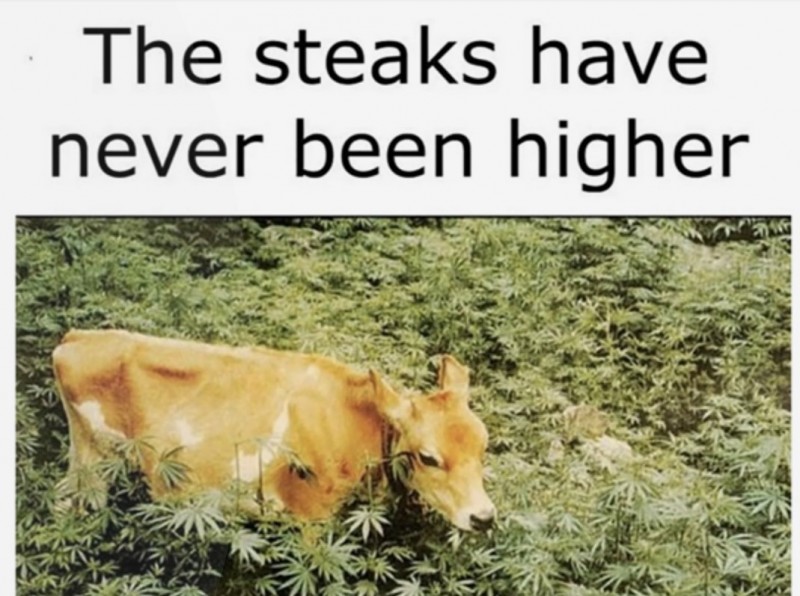 E-CiQLOWQAUEOgU