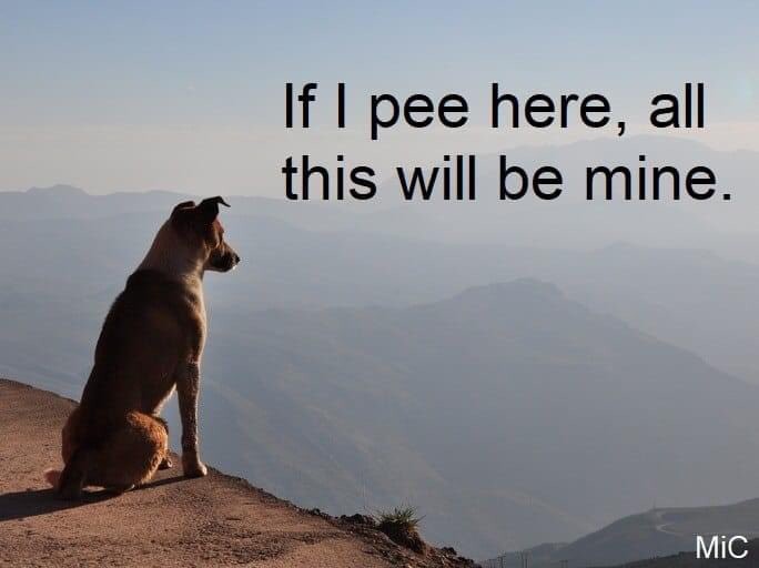 E_sgpXYVEAYzB9E