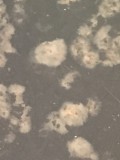 1256E3ED-B83E-4E27-B140-118EBB094873