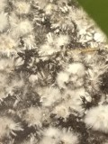 E66227D6-73E0-42F6-B362-70FC22777BAF