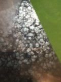 0BB05502-45E9-4F72-AECF-D9E88B022607