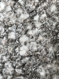 1A094243-8E1E-4203-AD34-8DF0702A4AB4