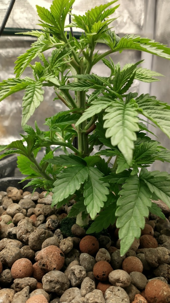 IMG_20211107_131009274_HDR