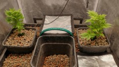 IMG_20211110_151833011_HDR