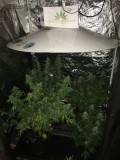 dec 11 033