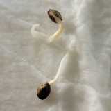 IMG_20220119_210057_657