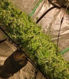 IMG_20220209_201217_657