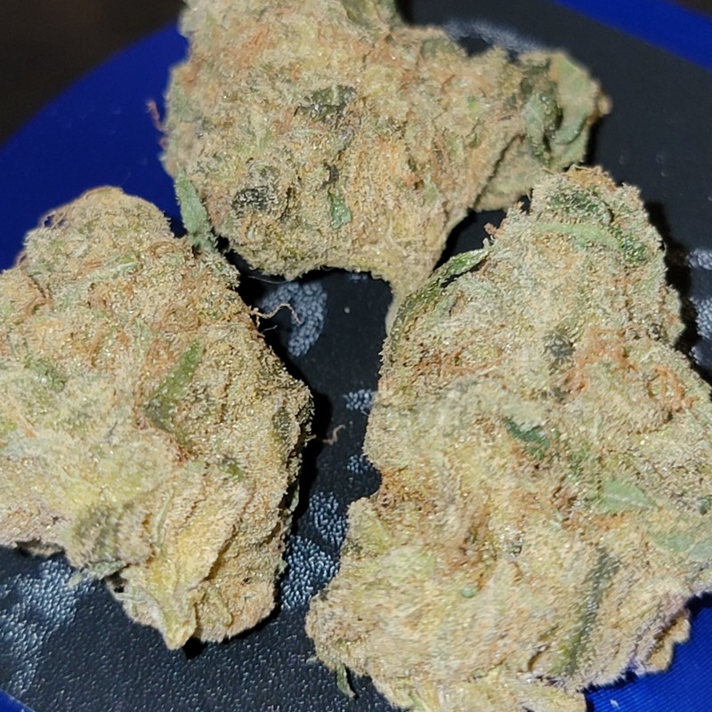 IMG_20220208_123440_663