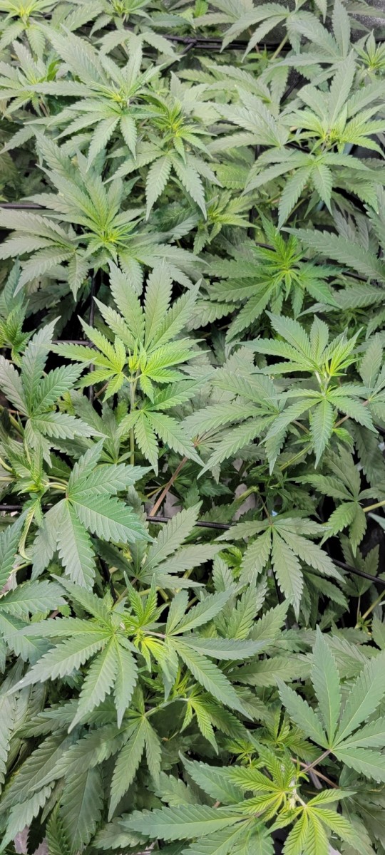 Screenshot_20220222-215203_Photos