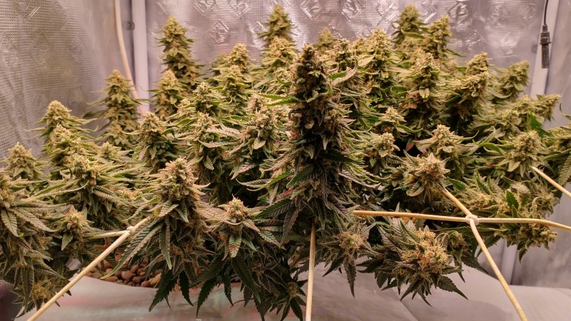 IMG_20220318_140006203_HDR