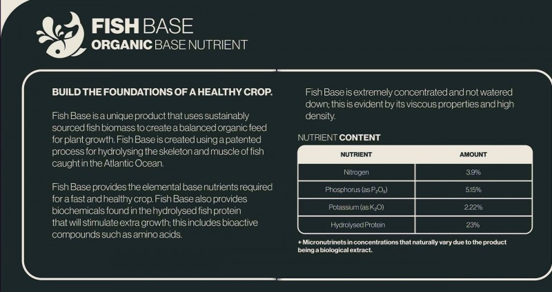 fish base