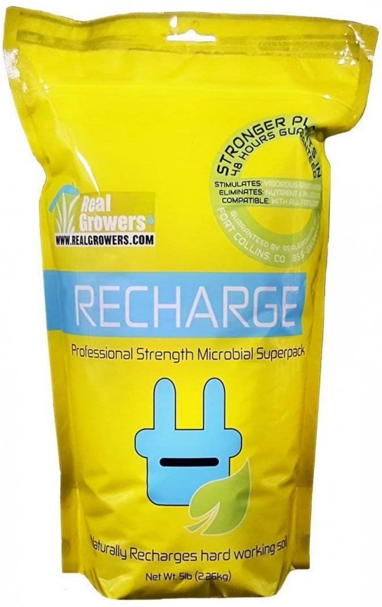 Screenshot_20220401-235316_Amazon Shopping