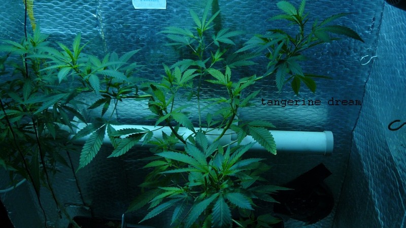 drobes 10 4 22 025