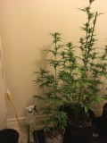 jan22 095