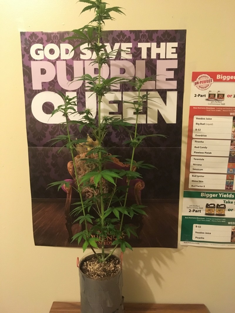 jan22 118