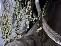IMG_4371[1]