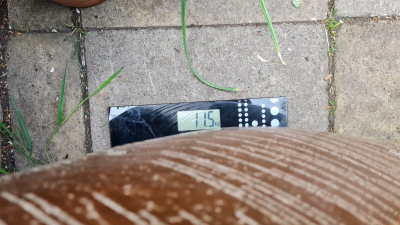 11.5