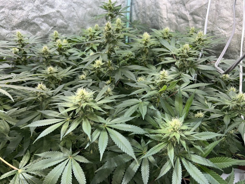 6FBE75D7-0864-4EC5-8582-FEB51926E007