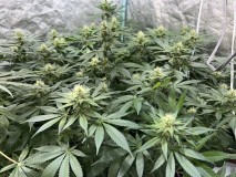 6FBE75D7-0864-4EC5-8582-FEB51926E007