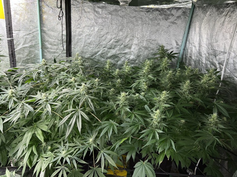 C23B700D-58A9-4432-9EB3-10044D748B70