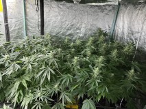 C23B700D-58A9-4432-9EB3-10044D748B70