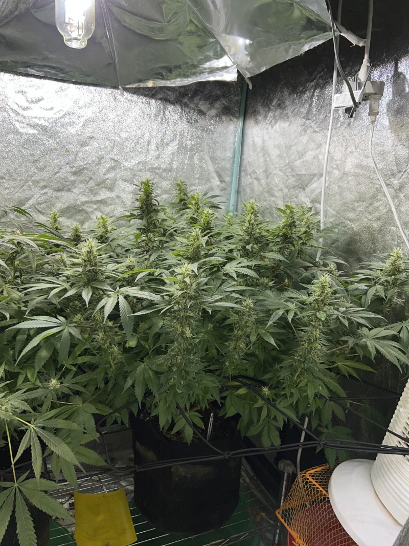 FE36EDAE-65A4-40CD-88BC-1C62E30CCF9F