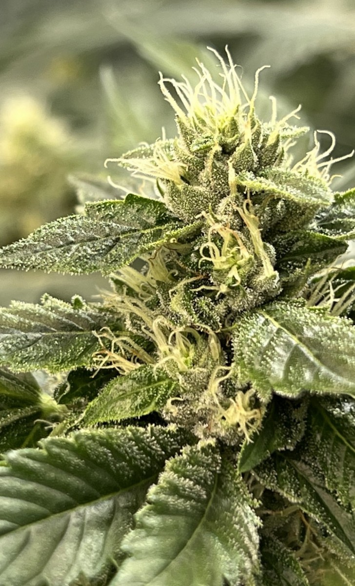 C2FCB149-5658-47FB-901F-C093CD8C9A98