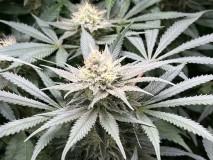 6889E6FF-1EBF-4855-A385-3C74532DCEB4