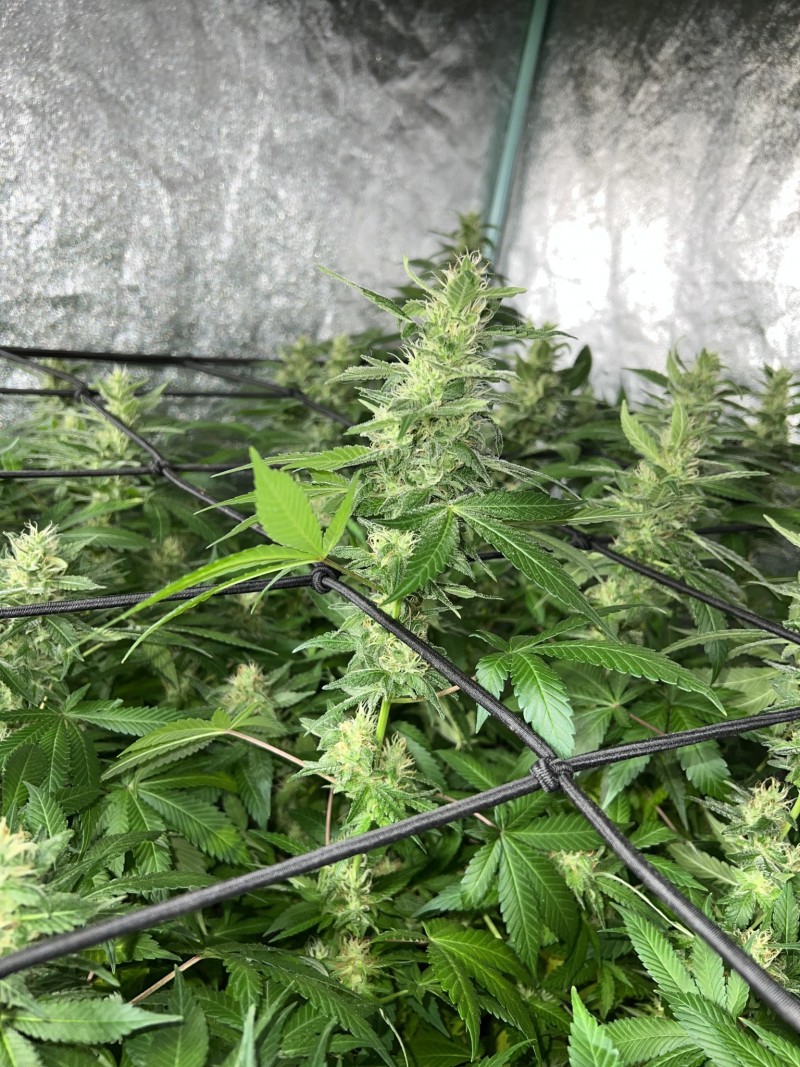 AD113C4E-F6F9-4227-80A6-448409C29D5A