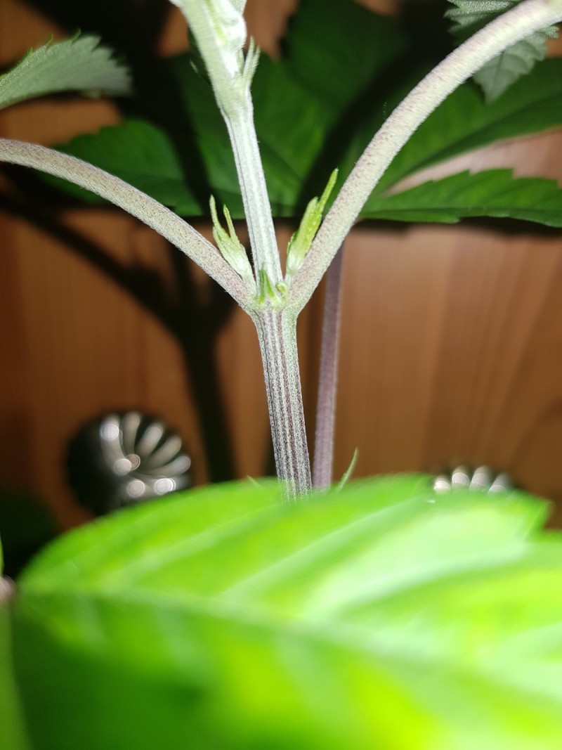20190306_110359