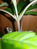 20190306_110359