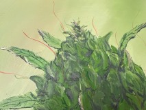 E1F62CC0-6ECA-4B77-BA7D-D71CA675F4AA