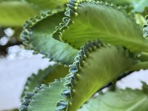 62F3D53D-EB0E-4CD4-9ADC-68D5C6943DB6